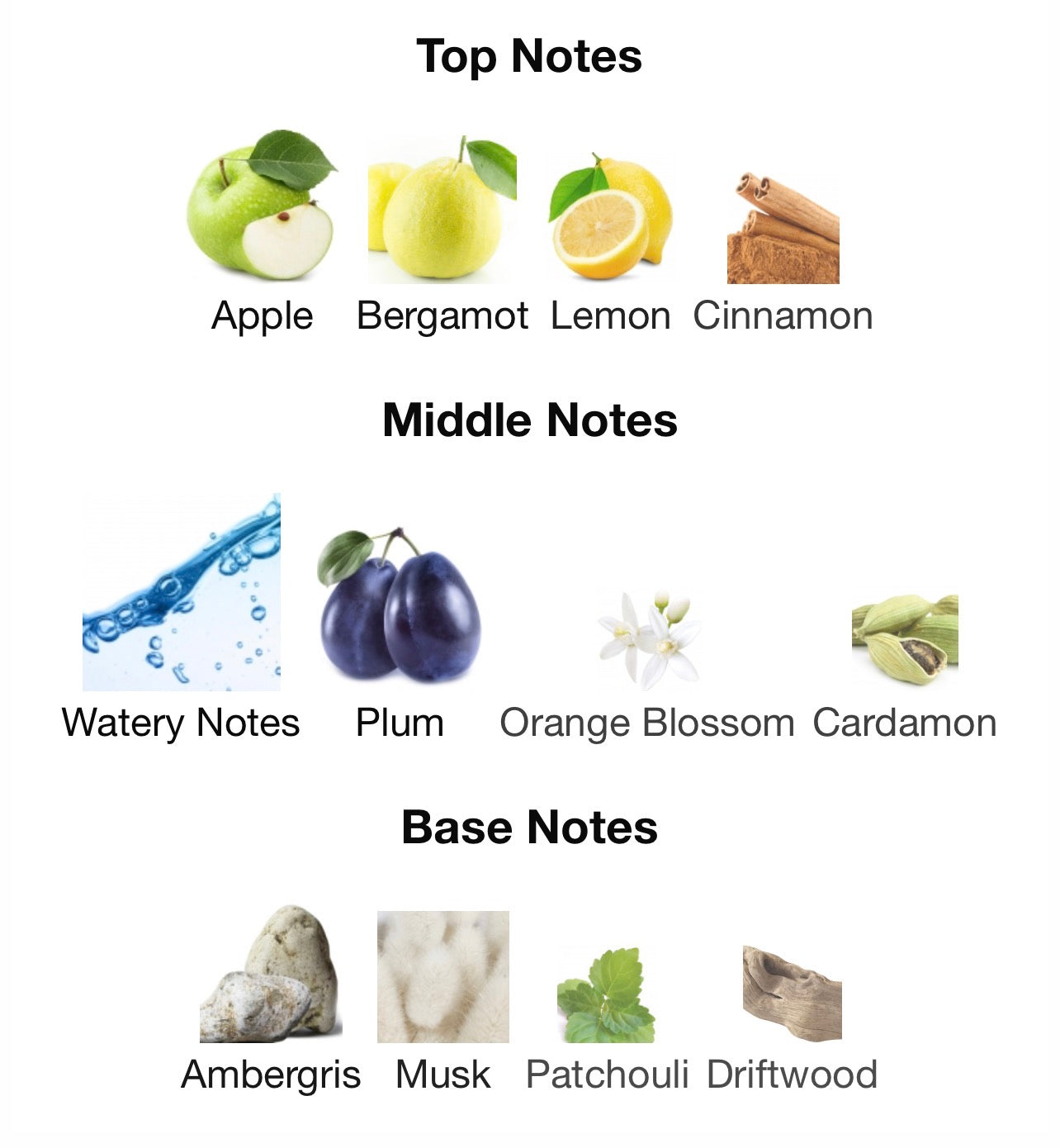 DRUNK IN YOU | Eau De Parfum | 50ml